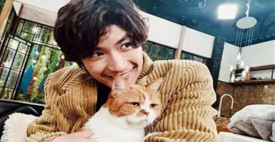 Haruma Miura Bunuh Diri, Netter Soroti Sosoknya Penyayang Kucing