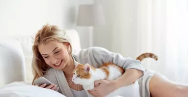 Bolehkah Wanita Memelihara Kucing Saat Program Kehamilan?