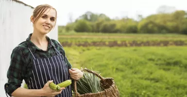 Ingin Berkebun di Rumah? Simak Tips dari Ahli Ya