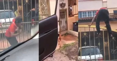 Viral! Kurir Panjat Pagar Karena Tetiba Digonggong 2 Anjing