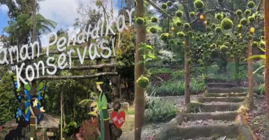Wow, Taman Pendidikan di Tangkuban Perahu Instagramable Banget