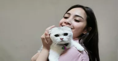 Deretan Kucing Peliharaan Nagita Slavina, Harga Bikin Elus Dada