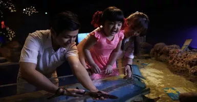 Asyik! Bisa Lihat Biota Laut Secara Virtual dari Jakarta Aquarium