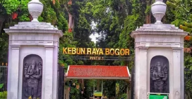 4 Cerita Mistis dari Kebun Raya Bogor, Seram!