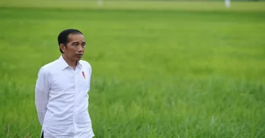 PKS Tuding Jokowi Jangan Balik Badan, Jleb Banget