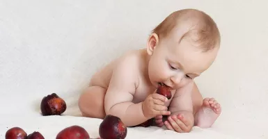 Nutrisi Apa Yang Bagus untuk Kecerdasan Anak? Ini Jawabannya!