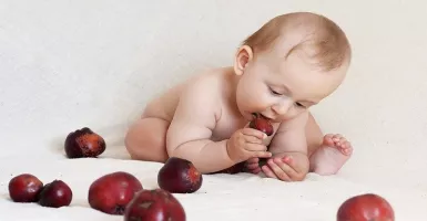  Nutrisi yang Bagus dapat Meningkatkan Kecerdasan Anak