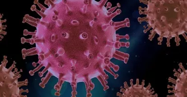 Pandemi Covid-19 Belum Usai, Kini Muncul Norovirus