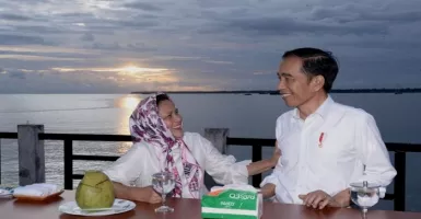 Lama Tak Kelihatan, Apa Kabar Ibu Negara Iriana Jokowi?