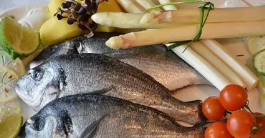 Aman Dikonsumsi Ibu Hamil, 4 Ikan Ini Rendah Merkuri