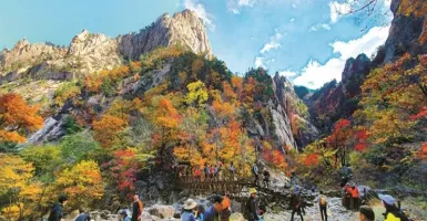 3 Destinasi Wajib Dikunjungi saat Musim Gugur di Korea, Apa Saja?