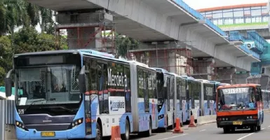 Dulu Kopaja-Metromini Sebagai Raja Jalan, Kini Mini Transjakarta