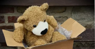 Beli Boneka Beruang Untuk Valentine, Wajib Tahu Makna Warnanya