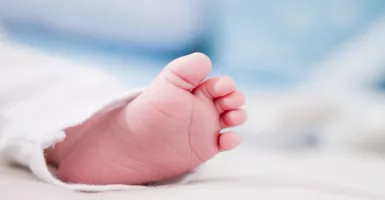 371 Ribu Bayi Lahir di Tahun Baru 2021