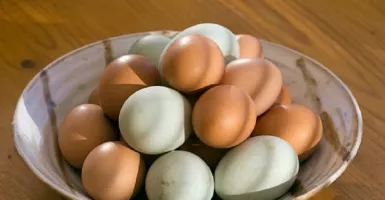 Istimewa, 6 Kelebihan Telur Bebek yang Nggak Diduga