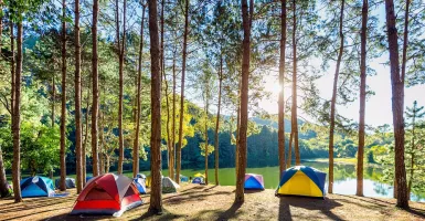 Tempat Camping Seru Sekitar Jakarta, Cocok Untuk Liburan Singkat