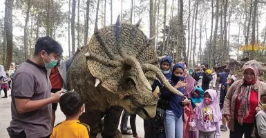 Viral Video Triceratops Ngamuk, Ternyata Ada di Tempat ini