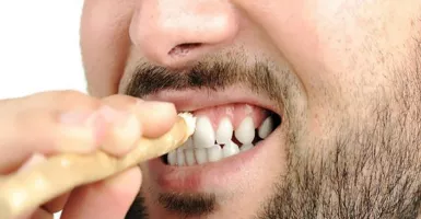 Kandungan Bahan Ajaib dalam Siwak Ampuh Kuatkan Gigi