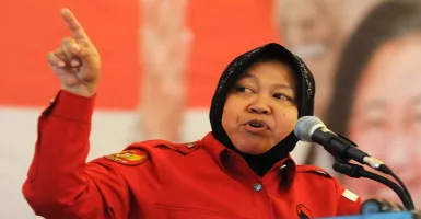 Nasihat Megawati untuk Risma, Bikin Melongo