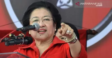 Akar Rumput Masih Setia dengan Megawati