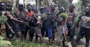 Komnas HAM Kecewa KKB Papua Dicap Sebagai Teroris