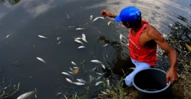 Awas, Laut Indonesia Jadi Tempat Pembuangan Limbah Nuklir Jepang