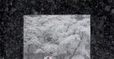 Akibat Badai Salju, Seorang Tewas dalam Kendaraan di Jepang