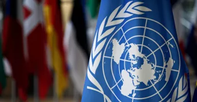 Gebrakan PBB untuk Afghanistan, Dunia Dibuat Gemetaran