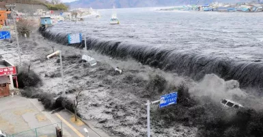 Mencengangkan, Mayat Korban Tsunami Jepang Ditemukan Utuh, Ngeri