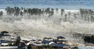 Breaking News, Selandia Baru Berpotensi Tsunami, Menghujam Nurani
