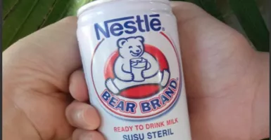 Dahsyat! Minum Susu Beruang Campur Madu, Khasiatnya Mencengangkan