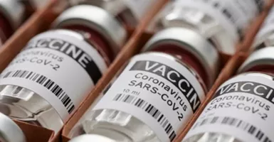 Ekonom Analisis Program Vaksinasi Gotong Royong, Soroti 2 Hal