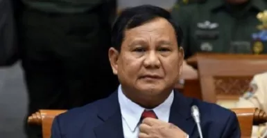 Prabowo dan Anies Ada di Puncak Survei Capres 2024