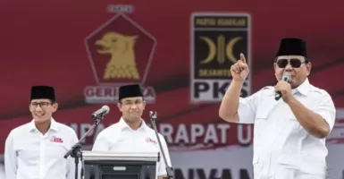 Utak-Atik Duet Prabowo-Anies, Analisis Pengamat Top Bikin Melongo