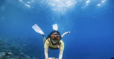 Menjajal Snorkeling di Jernihnya Air Laut Bunaken
