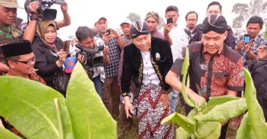 Ganjar Pranowo Minta Pembatasan Impor Tembakau untuk Petani