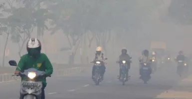 Ada 61 Titik Panas, Kabut Asap Tutupi Jalan di Riau