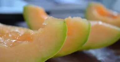 Kulit Melon Bisa Bikin Si Dia Makin Sayang, Jangan Dibuang ya!