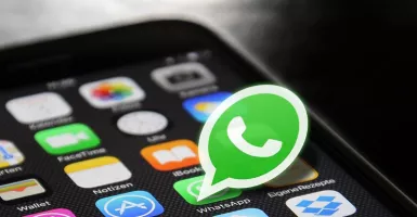 WhatsApp Siapkan Fitur Baru, Kiriman Foto Bisa Terhapus Otomatis!