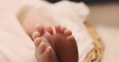 Bayi Ini Jadi Pendonor Organ Termuda, Umurnya Hanya 74 Menit