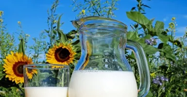 Manfaat Susu Kambing untuk Kesehatan Dahsyat Banget, Buktikan!
