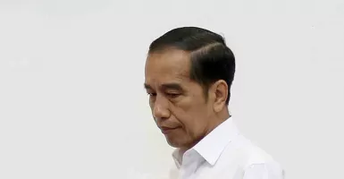 Jokowi Disebut Kerap Abaikan Investor Lokal, Begini Dampaknya!