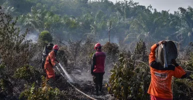  5 Helikopter Dioptimalkan untuk Padamkan Karlahut di Riau