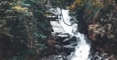 Curug Panjang, Air Terjun di Puncak Bogor yang Menawan