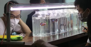 Bisnis Hoki Saaat Pandemi, Tolong Dicatat!