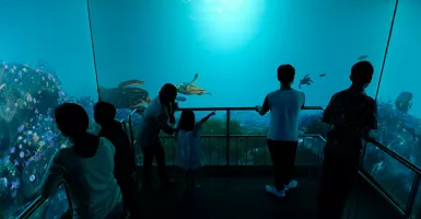 Mermaid Show Ikut Meriahkan HUT ke-75 RI di Jakarta Aquarium