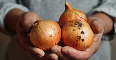 Rebusan Kulit Bawang Bombay Jangan Dibuang, Suami Bisa Senang