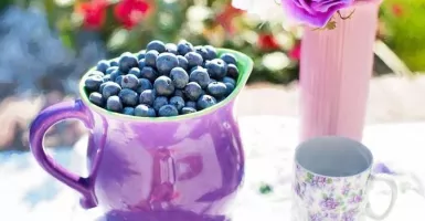 Tak Hanya Enak, Blueberry Banyak Manfaat Bagi Kecantikan