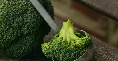 Rutin Makan Brokoli Ternyata Khasiatnya Sangat Luar Biasa