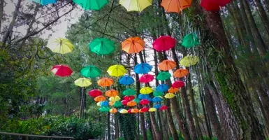 Indahnya Bukit Baros, Destinasi Instagramable di Sukabumi